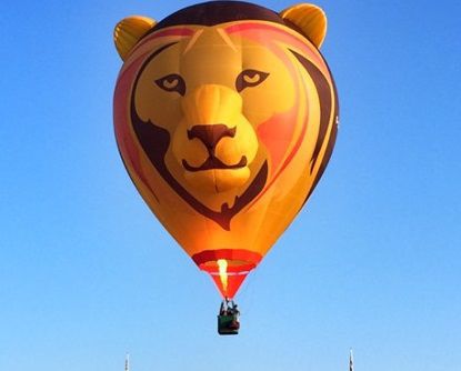 Simbaloo The Lion